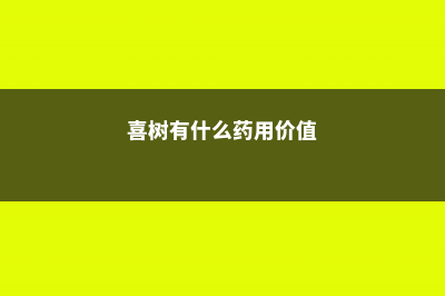 喜树的养殖方法 (喜树有什么药用价值)