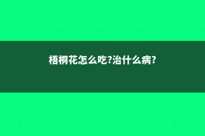 梧桐花的养殖方法 (梧桐花怎么吃?治什么病?)