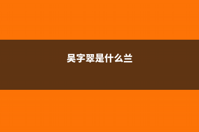 吴字翠的养殖方法 (吴字翠是什么兰)