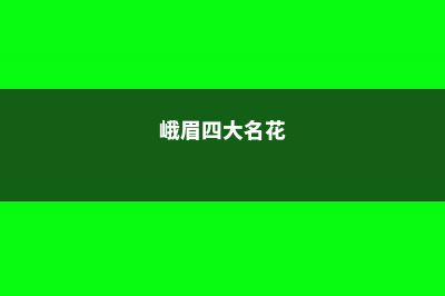 峨眉四照花的养殖方法 (峨眉四大名花)