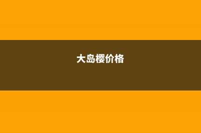 大岛樱的养殖方法 (大岛樱价格)