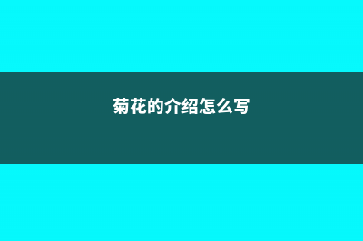 菊花的介绍，什么时候开花 (菊花的介绍怎么写)