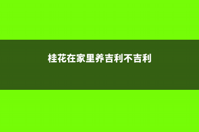 桂花在家里养吉利吗，可不可以养在家里 (桂花在家里养吉利不吉利)