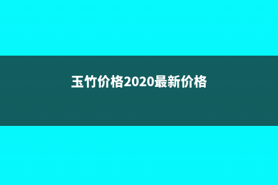 玉竹价格，玉竹图片 (玉竹价格2020最新价格)