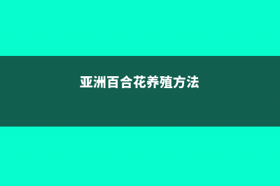 亚洲百合的养殖方法 (亚洲百合花养殖方法)