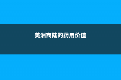 美洲商陆的养殖方法 (美洲商陆的药用价值)