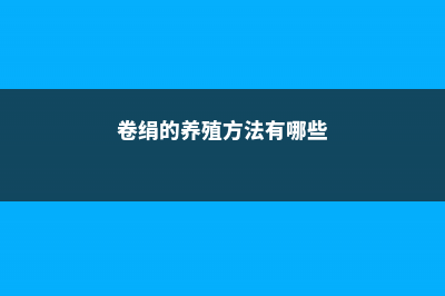 卷绢的养殖方法 (卷绢的养殖方法有哪些)