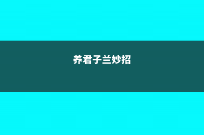 怎么养君子兰比较好 (养君子兰妙招)