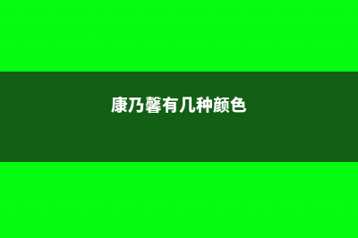 康乃馨有几种颜色 (康乃馨有几种颜色)