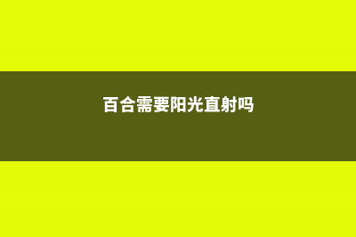 百合没有阳光能开花吗，花期需要晒太阳吗 (百合需要阳光直射吗)