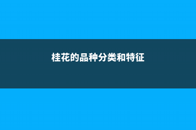 桂花的品种分类，桂花的品种分类及区别 (桂花的品种分类和特征)