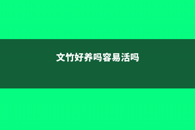 文竹好养吗，（养殖方法介绍） (文竹好养吗容易活吗)