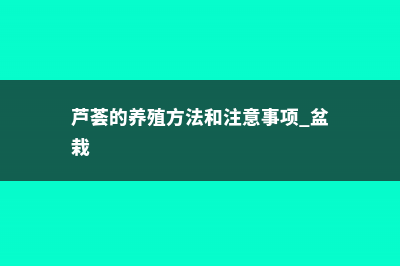 芦荟的养殖方法，芦荟图片 (芦荟的养殖方法和注意事项 盆栽)