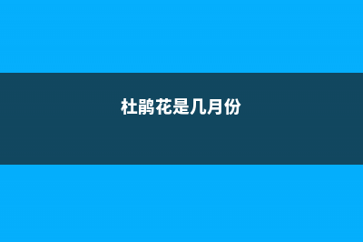 杜鹃花是什么季节开的，杜鹃花图片 (杜鹃花是几月份)