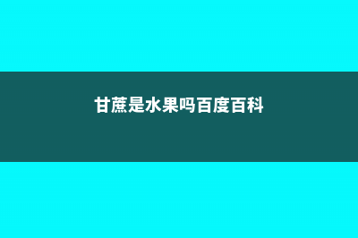 甘蔗是水果吗，甘蔗几月种植 (甘蔗是水果吗百度百科)