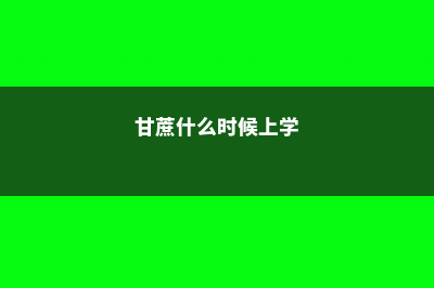 甘蔗什么时候上市，多少钱一斤 (甘蔗什么时候上学)