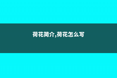 荷花简介，荷花是什么季节开的 (荷花简介,荷花怎么写)