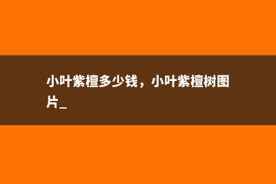 小叶紫檀多少钱，小叶紫檀树图片 