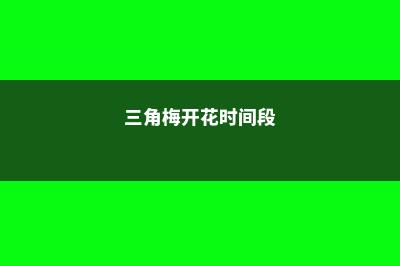 三角梅开花时间是什么时候，为什么不开花 (三角梅开花时间段)