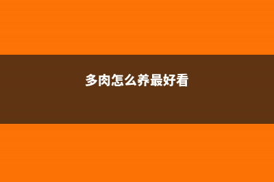 多肉怎么养，怎么种 (多肉怎么养最好看)