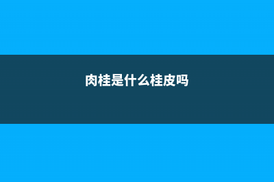 肉桂是什么，桂皮和肉桂的区别 (肉桂是什么桂皮吗)