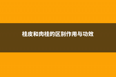 肉桂与桂皮的区别，桂皮图片 (桂皮和肉桂的区别作用与功效)