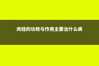 肉桂的功效与作用，肉桂的副作用 (肉桂的功效与作用主要治什么病)