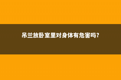 吊兰能放卧室里吗，吊兰放在卧室好吗 (吊兰放卧室里对身体有危害吗?)