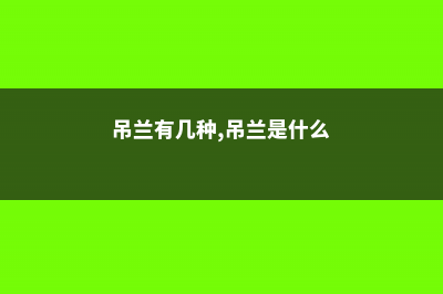 吊兰有几种，吊兰的种类 (吊兰有几种,吊兰是什么)