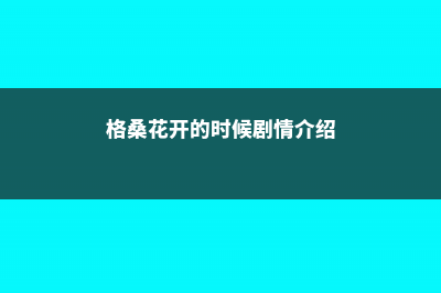 格桑花开的时候，格桑花图片 (格桑花开的时候剧情介绍)