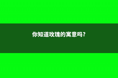 玫瑰的含义，玫瑰花价格 (你知道玫瑰的寓意吗?)