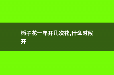 栀子花一年开几次花，栀子花几月开花 (栀子花一年开几次花,什么时候开)