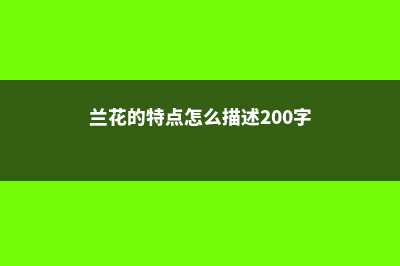 兰花的特点，怎样养兰花 (兰花的特点怎么描述200字)