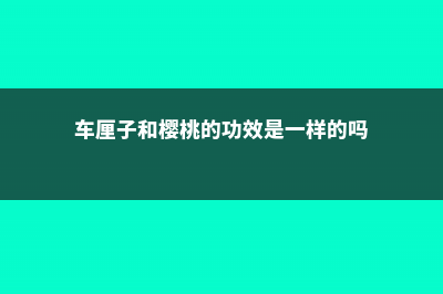 车厘子和樱桃的区别 (车厘子和樱桃的功效是一样的吗)