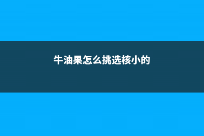 牛油果怎么挑选，牛油果怎么保存 (牛油果怎么挑选核小的)