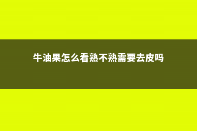 牛油果怎么看熟不熟，牛油果怎么催熟 (牛油果怎么看熟不熟需要去皮吗)