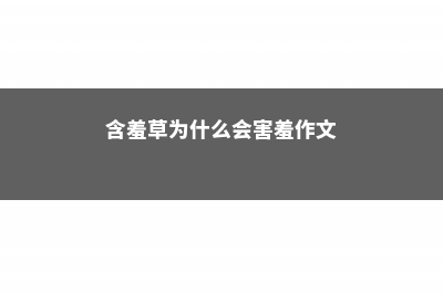 含羞草为什么会害羞，含羞草在什么情况下会害羞 (含羞草为什么会害羞作文)