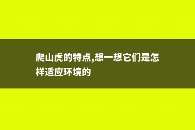 爬山虎的特点，爬山虎的资料简介 (爬山虎的特点,想一想它们是怎样适应环境的)