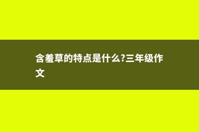 含羞草的特点（植物含羞草），含羞草图片 (含羞草的特点是什么?三年级作文)