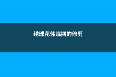 绣球花有休眠期吗，绣球花的休眠期多长 (绣球花休眠期的修剪)