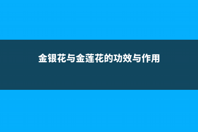 金银花与金莲花的区别 (金银花与金莲花的功效与作用)