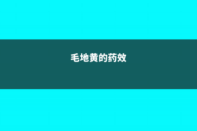 毛地黄和蜀葵的区别 (毛地黄的药效)