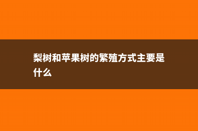 梨树和苹果树的区别 (梨树和苹果树的繁殖方式主要是什么)