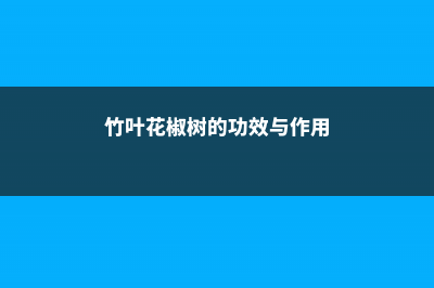 竹叶花椒的养殖方法 (竹叶花椒树的功效与作用)