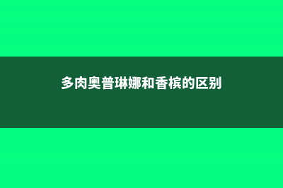 多肉奥普琳娜和霜之朝的区别 (多肉奥普琳娜和香槟的区别)