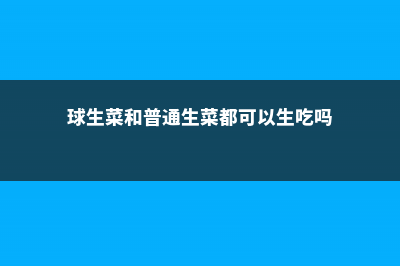 球生菜和普通生菜区别 (球生菜和普通生菜都可以生吃吗)