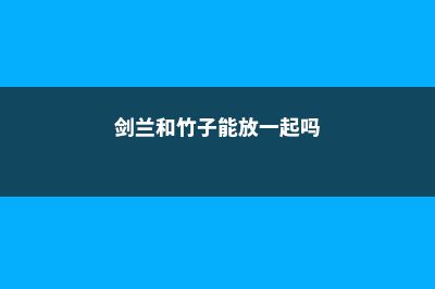 剑兰和夹竹桃的区别 (剑兰和竹子能放一起吗)