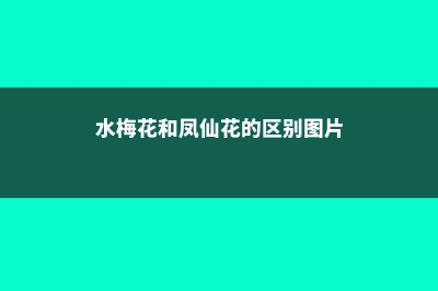 水梅花和凤仙花的区别 (水梅花和凤仙花的区别图片)