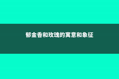 郁金香和玫瑰的区别 (郁金香和玫瑰的寓意和象征)