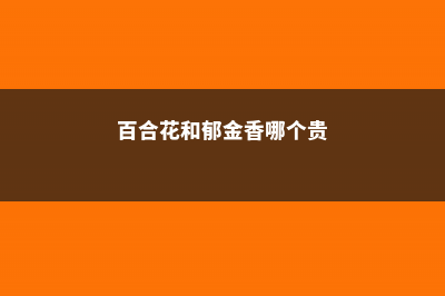 百合花和郁金香的区别 (百合花和郁金香哪个贵)